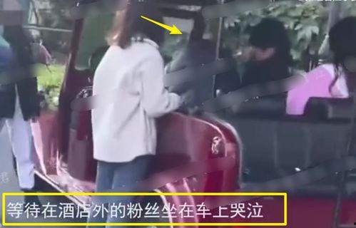 福州爆料小三事件视频播放,一场家庭纷争的激烈上演 第1张 福州爆料小三事件视频播放,一场家庭纷争的激烈上演 第1张