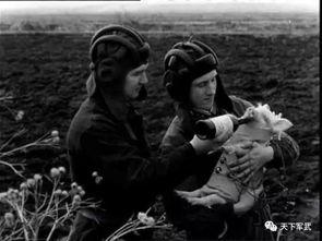 苏联科学家爆料视频播放,震撼视频背后的惊人真相 第3张 苏联科学家爆料视频播放,震撼视频背后的惊人真相 第3张